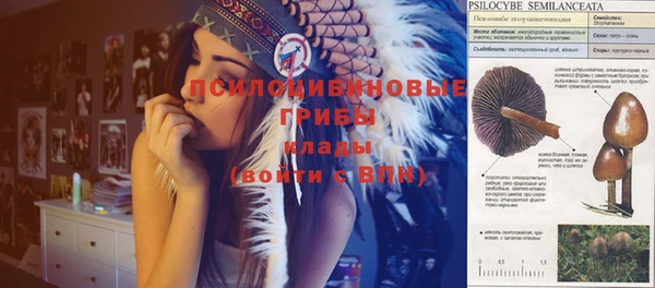 спиды Алексеевка